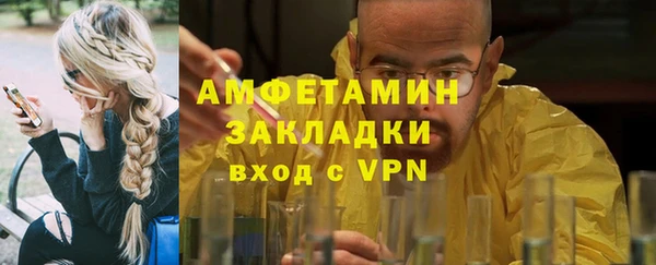 индика Алзамай