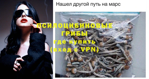 прущие грибы Алексеевка