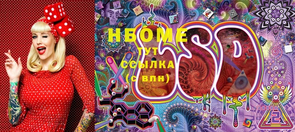 индика Алзамай